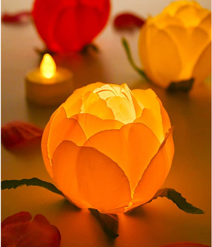 Adult Craft Night: F